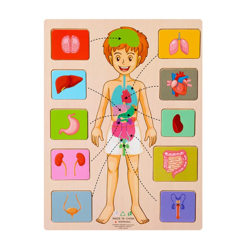 BodyMatch